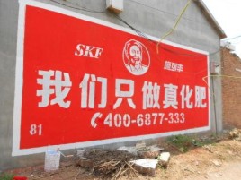 凤凰刷墙广告”蕴含了时代命题