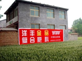 凤凰如何让墙体广告展现最大化效果