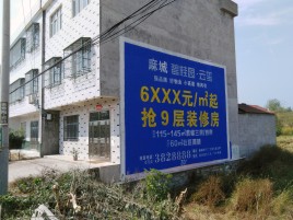 凤凰墙体广告质量分析