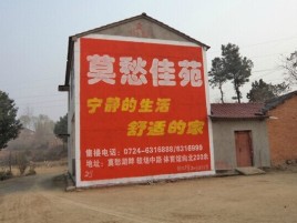凤凰如何合理的选择户外广告投放