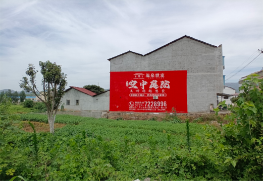 凤凰做墙体广告的意义