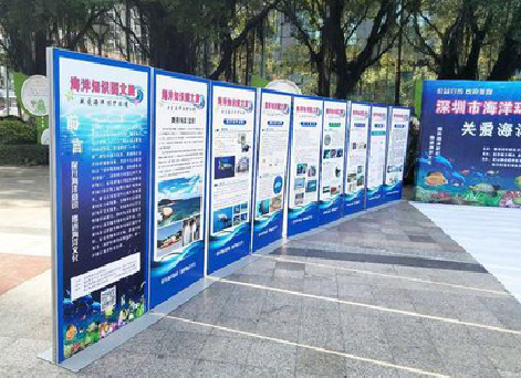 凤凰KT板的种类和知识。